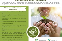 Actividad GAM