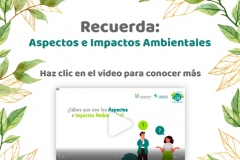 Activad-GAM-Abril-Planta