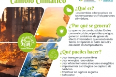 Actividad-GAM