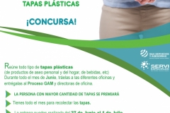 Reclicatón-y-Donatón-Planta