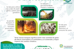 Deforestación