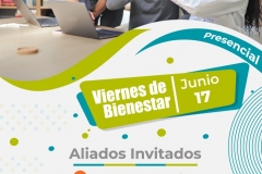 Viernes de BSO